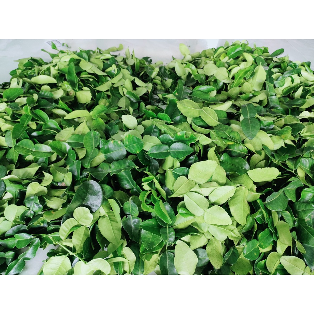 La chúc tươi 100g giá 20k