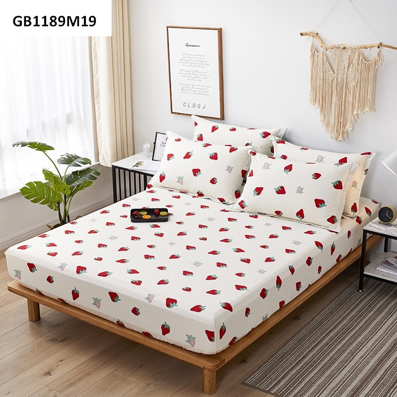 GB1189- sale 30% Ga trải giường ga bọc chun cotton 120 x 200cm hàng nhập