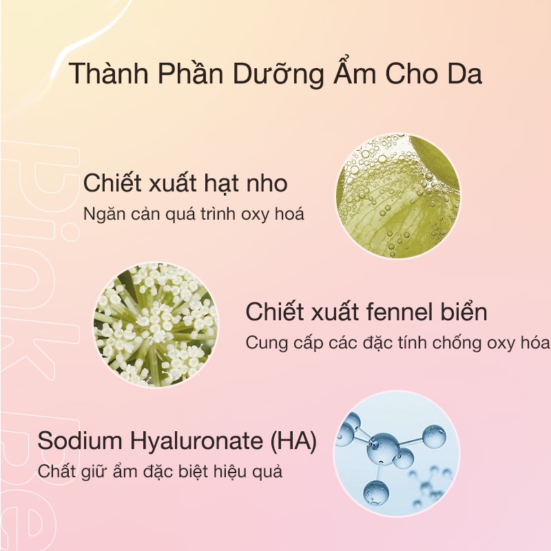 Kem Che Khuyết Điểm Pink Bear Dạng Lỏng Dưỡng Ẩm Và Giúp Làn Da Trông Hoàn Hảo | BigBuy360 - bigbuy360.vn