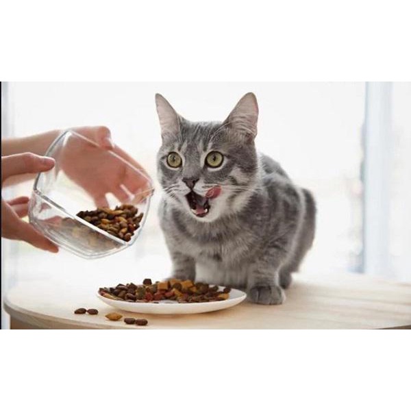Hạt cho mèo Meowcat 350g, thức ăn khô cho mèo con lớn nhỏ Con Mèo Xiêm