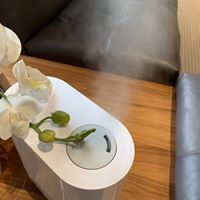 Máy Phun Sương Tạo Độ Ẩm Thụy Sỹ BONECO U200 Sương NaNo Tinh Khiết, Khuếch Tán Xông Tinh Dầu Thơm- Bảo Hành 24 Tháng