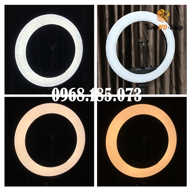 [CHÍNH HÃNG] Bộ Đèn Livestream Cao Cấp Đủ size - Siêu Bền, 3 Chế Độ Ánh Sáng, Full Đồ - Bảo Hành 3 Tháng FREESHIP