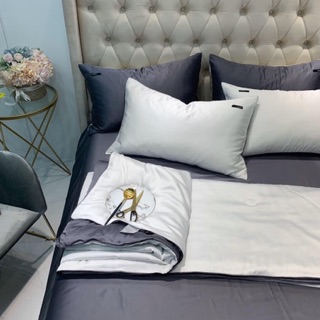 Sét lụa tencel 1 màu chăn tơ tằm 🌸