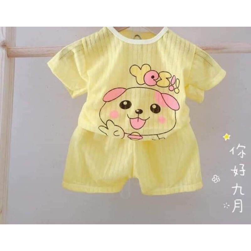 Bộ cotton giấy cho bé,bộ cộc tay bé trai bé gái hàng xuất khẩu (4kg-15kg)