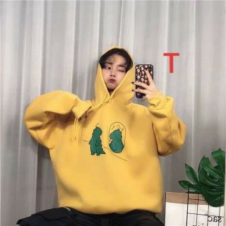 Hoodie khủng long soi gương 2753_TRN