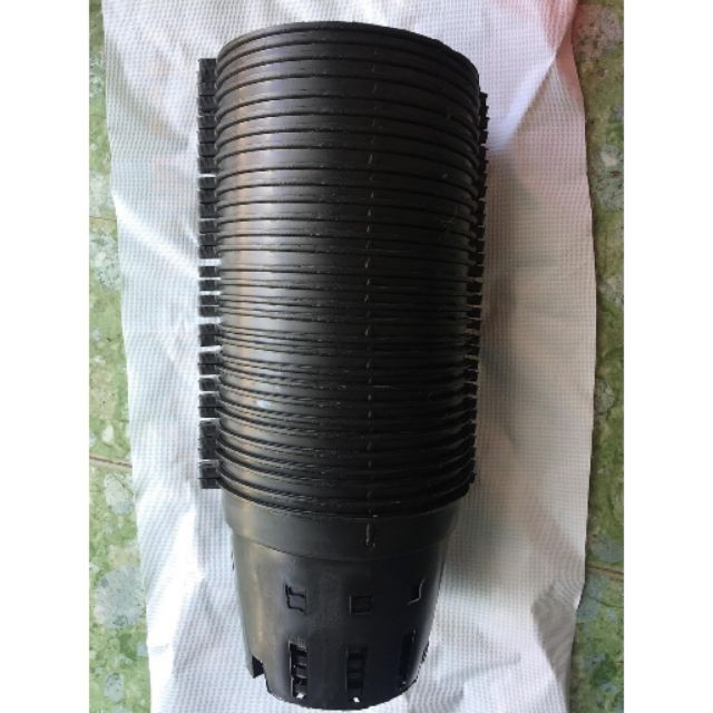30 chậu đen f16 trồng lan