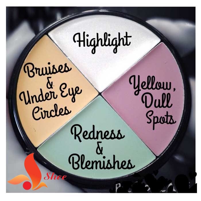 Kem Che Khuyết Điểm Wet N Wild Correcting Palette Color Commentary