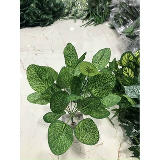 cụm lá 7 nhánh