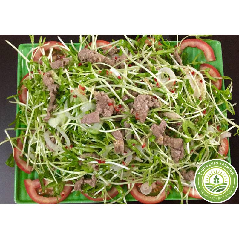 Hạt Giống Rau Mầm Rau Muống 1Kg - Bán Buôn