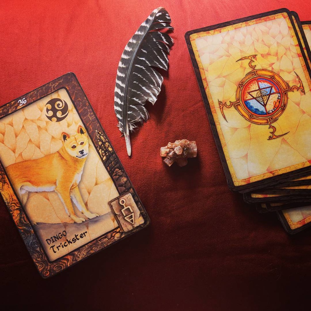 Bộ Bài Animal Dreaming Oracle (Mystic House Tarot Shop) - Bài Gốc Authentic Chính Hãng 100%