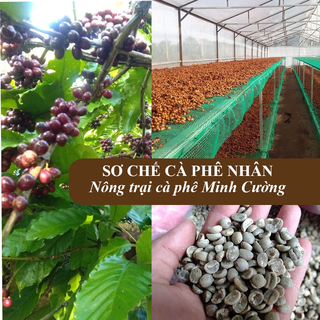 250Gr Arabica Cầu Đất rang mộc – cafe Arabica Thượng Hạng