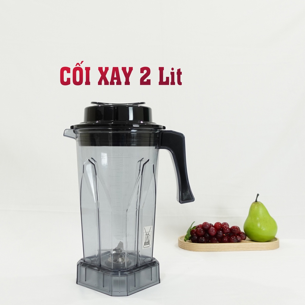 Máy xay sinh tố công nghiệp Biochef BIG 1