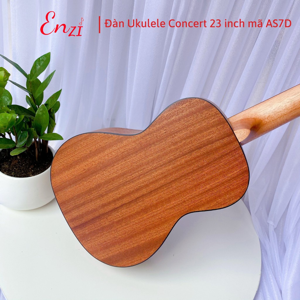 Đàn ukulele concert AS7D Enzi 23 inch gỗ mộc trơn khóa đúc giá rẻ cho bạn mới bắt đầu tập chơi