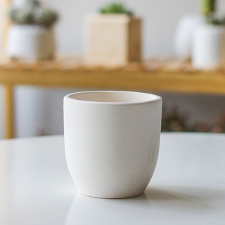 Chậu đất nung trứng trồng cây