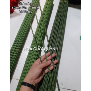 Cành cứng 70cm - bó 10 cây