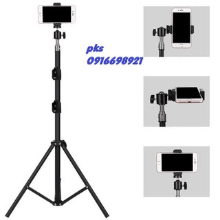 bim pamper xl 38 6