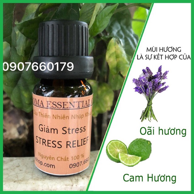 Tinh dầu thơm giảm căng thẳng giảm stress giúp tinh thần tích cực