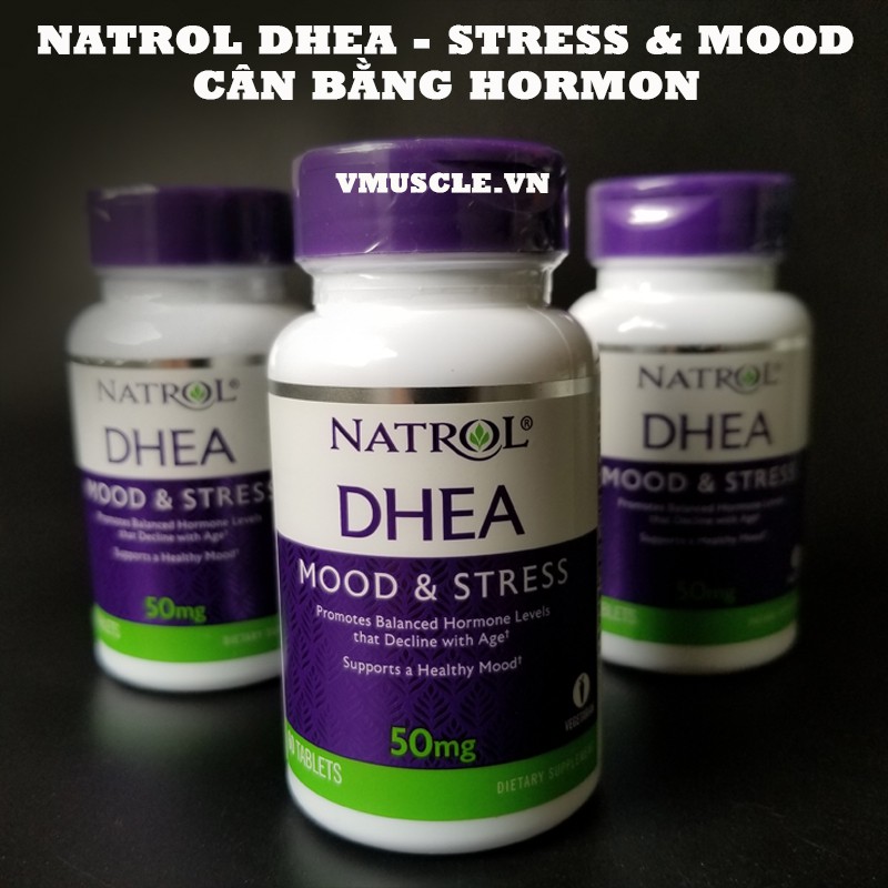 Natrol DHEA hỗ trợ cân bằng nội tiết, giảm stress và chống oxy hóa