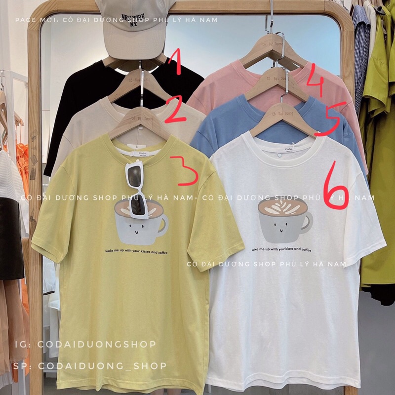 áo phông cốc trà mác Cindy