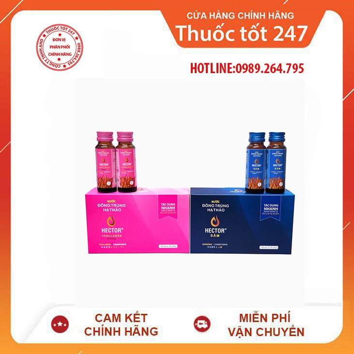 ✅Combo Nước Uống Đông Trùng Hạ Thảo Hector Sâm và Collagen 20 Chai Hỗ Trợ Sinh Lý Nam Nữ