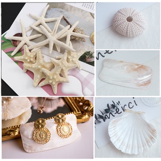 Ốc xà cừ, Sò điệp cỡ Lớn chụp ảnh trang sức, đựng thức ăn, làm chuông gió, dây chuyền sáng tạo