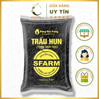 Trấu Hun SFRAM Nguyên Cánh (Hạt To) Không Lẫn Tạp Chất