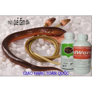 DỊCH TRÙN QUẾ CHO LƯƠN (THÙNG 2 CHAI 1L)