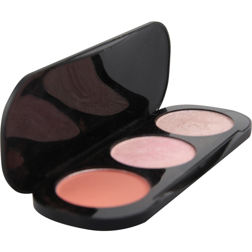 (Hàng Mới Về) Bảng Phấn Má Hồng Và Bắt Sáng 3 Màu Focallure Fa26 | BigBuy360 - bigbuy360.vn