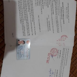 Viên hành tỏi đen