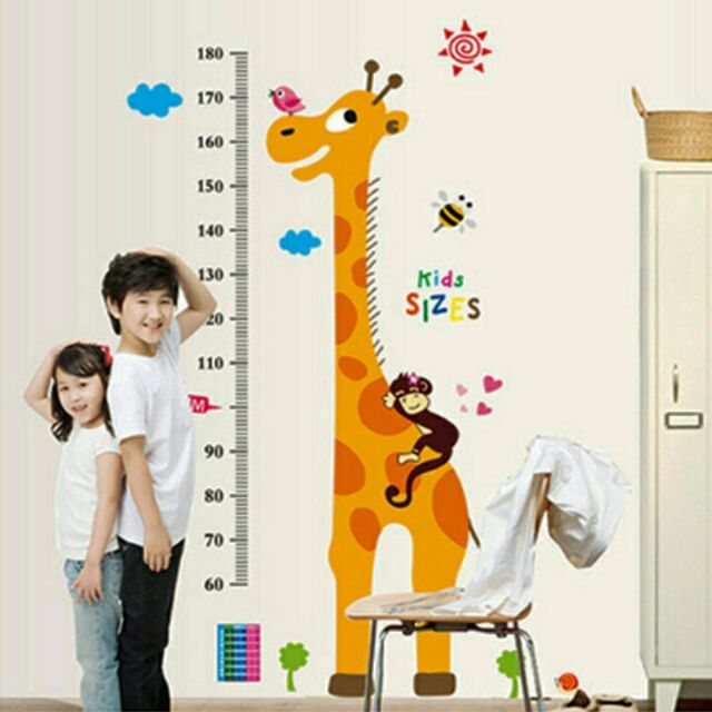 Decal đo chiều cao