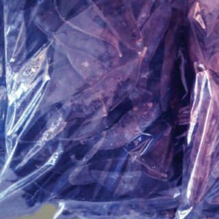 500G TRÁI BỒ KẾT KHÔ.