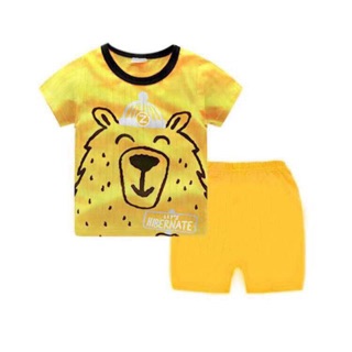 Combo bộ cotton giấy