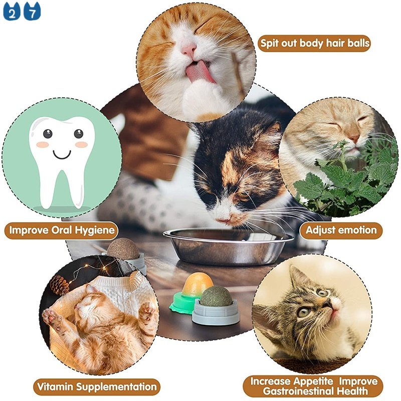 Bộ 27 Đồ Chơi Bóng Xoay Kẹo Mút Bạc Hà Đồ Chơi Cho Mèo