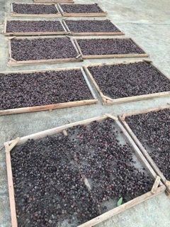 1kg Quả Sim Rừng Khô ( quả chín )