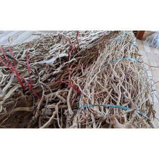 Lũa Rễ Rừng (100g) - ghép bonsai, bố cục