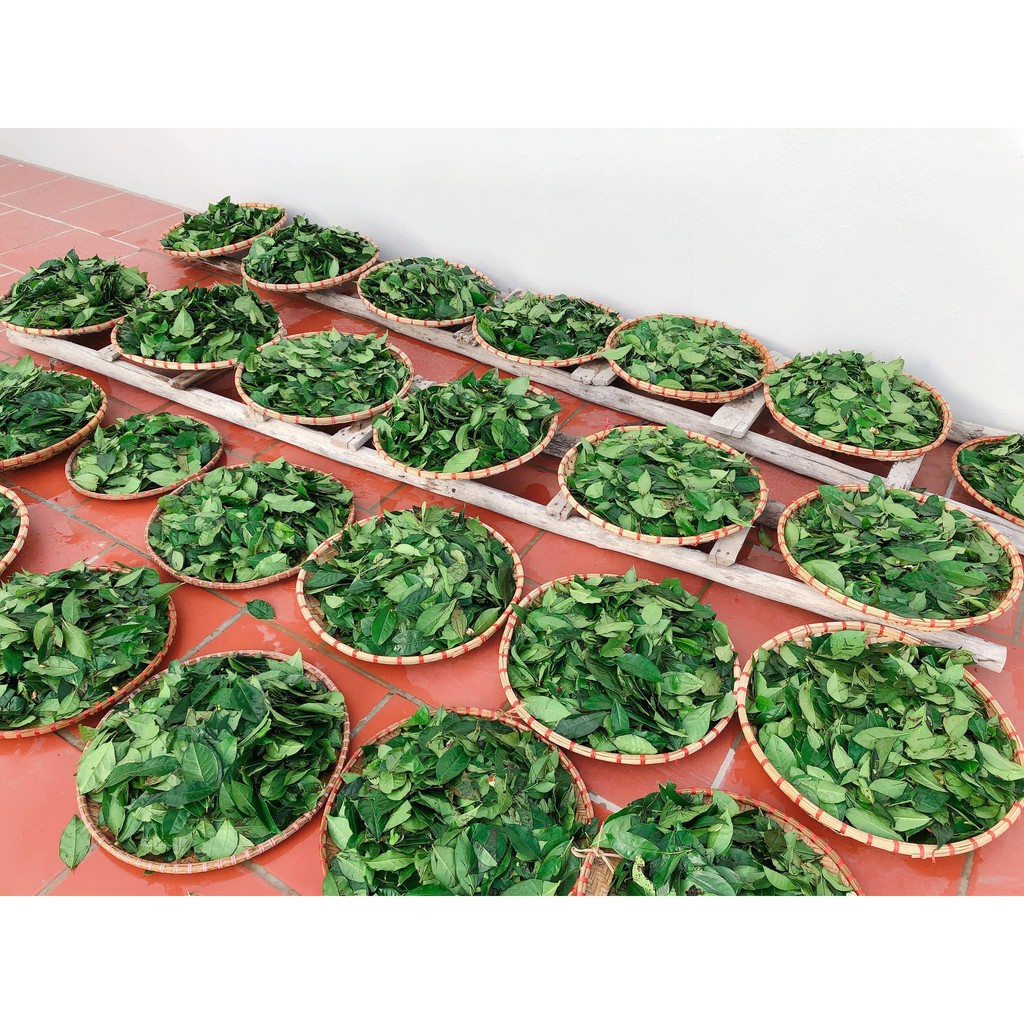 Mộc Nhan Natural, Bột Trà Xanh Đắp Mặt Mộc Nhan, Tiemxuongrong, Đẹp Da, Kháng Khuẩn Cao