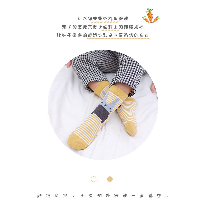 Set 5 Đôi Tất Cotton Hoạ Tiết Hoạt Hình Dành Cho Bé