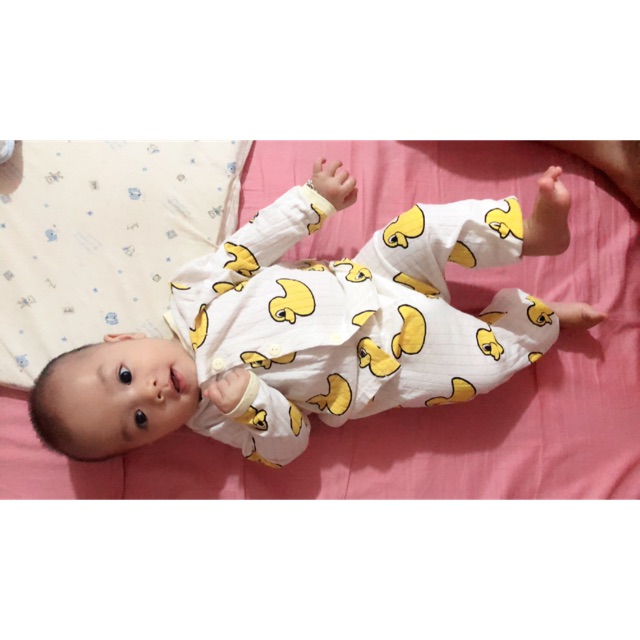 Bộ vịt cotton giấy