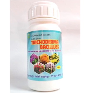 Trichoderma bacillus 250ml - Nấm đối kháng (Chuyên dùng cho hoa lan, hồng, các loại cây kiểng)