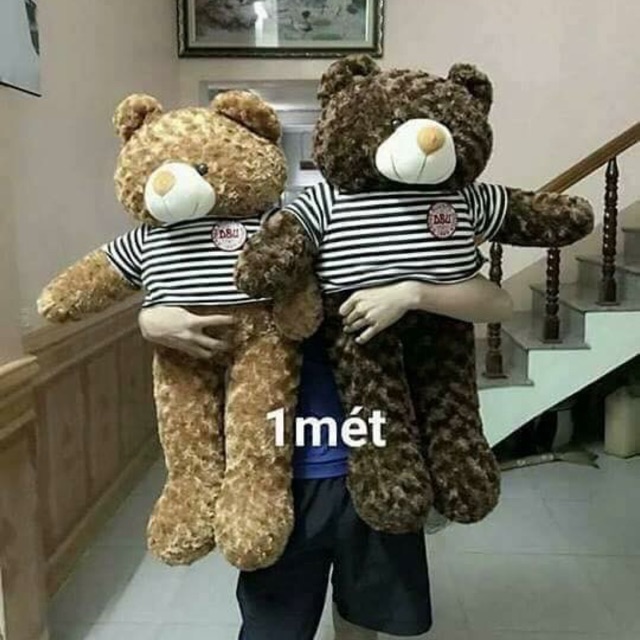 Combo gấu 90cm