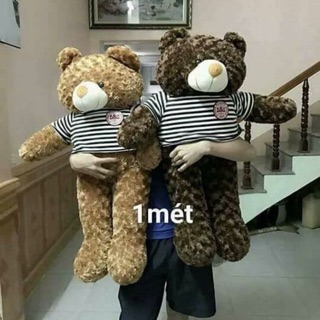Combo gấu 90cm