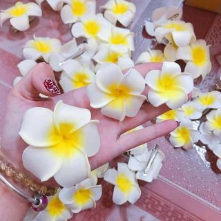 HOA ĐẠI CÀI TÓC ĐI BIỂN