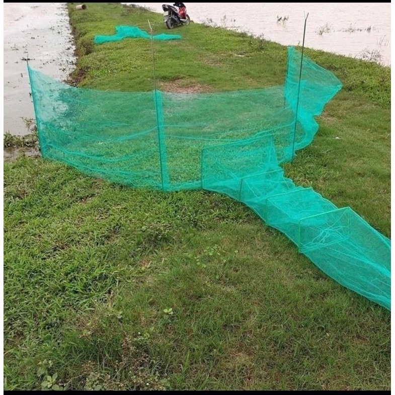 DỚN CHẶN SÔNG