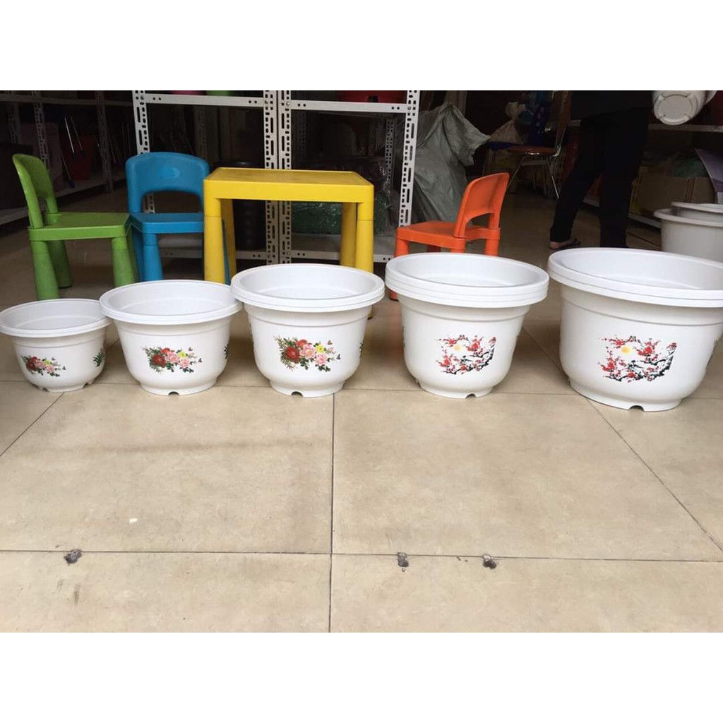 Combo 5 chậu nhựa trồng cây hoa văn 4 mùa size 23cm .