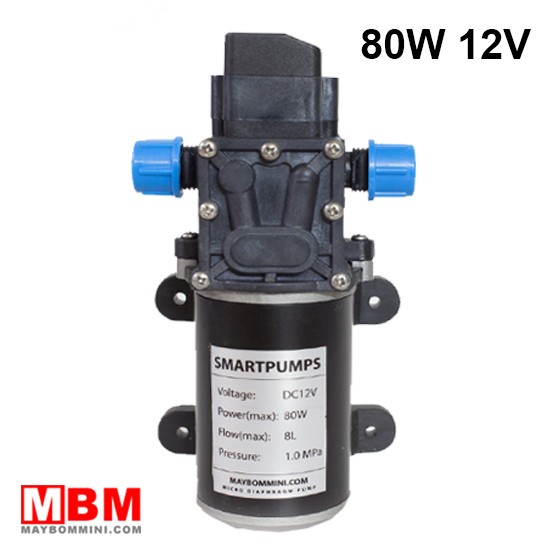 Bơm Nước Mini Áp Lực 12V 80W