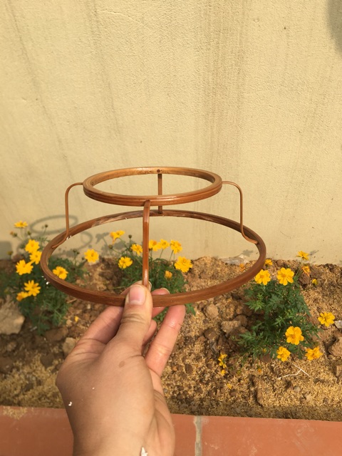 Cầu dế cho khuyên