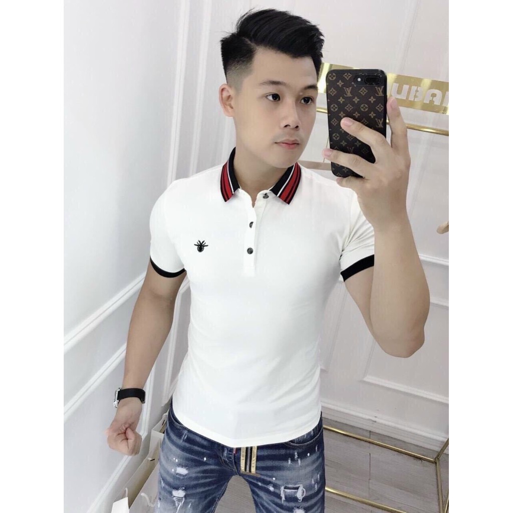Áo thun cổ bẻ polo cao cấp vải thun cotton siêu co dãn hàng chuẩn shop Phuongnamshop20 kve3