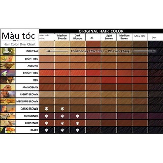 [Sẵn] BỘT NHUỘM TÓC CÓ CHỨNG NHẬN HỮU CƠ  LIGHT MOUNTAIN COLOR