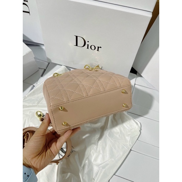 Túi 5 ô sz 20cm fullbox chất da lì