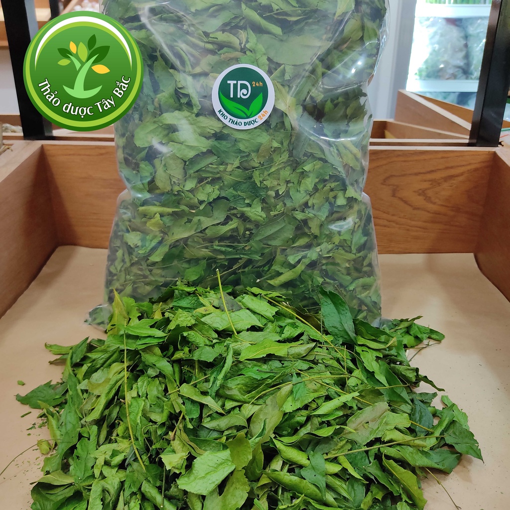 Lá mắc mật khô sấy xanh Lạng Sơn, gia vị ướp gà, vịt nướng tốt cho gan, hệ tiêu hoá  | Kho thảo dược Tây Bắc